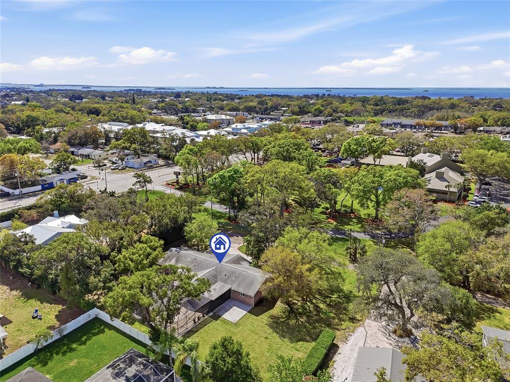 2817 Fleeman Road Palm Harbor, FL 34683 - Photo 57 of 61