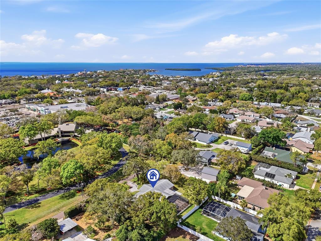 2817 Fleeman Road Palm Harbor, FL 34683 - Photo 59 of 61