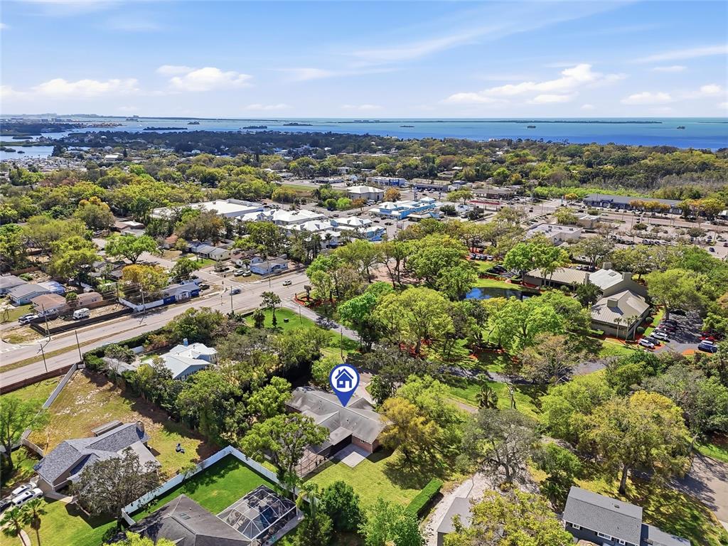 2817 Fleeman Road Palm Harbor, FL 34683 - Photo 60 of 61