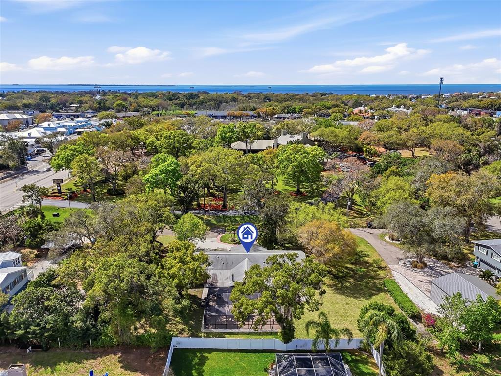 2817 Fleeman Road Palm Harbor, FL 34683 - Photo 61 of 61