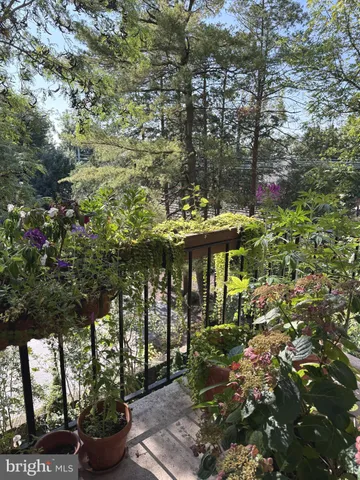 a view of outdoor space and garden view