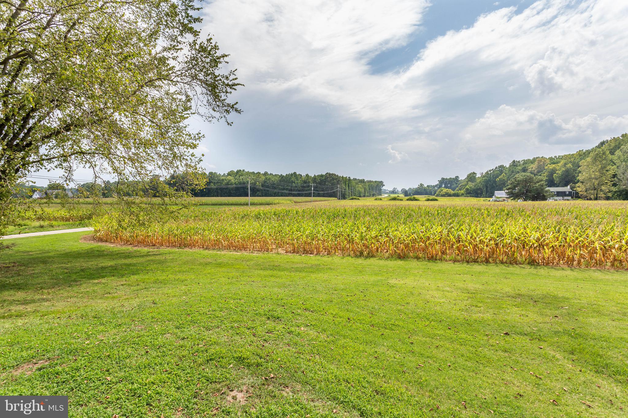 42525 Medleys Neck Road Leonardtown, MD 20650 - Photo 59 of 65 Gallery Image 59