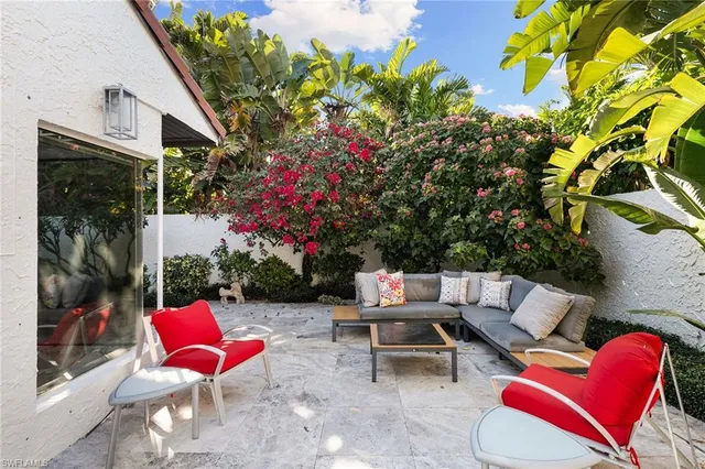 a view of a backyard with potted plants