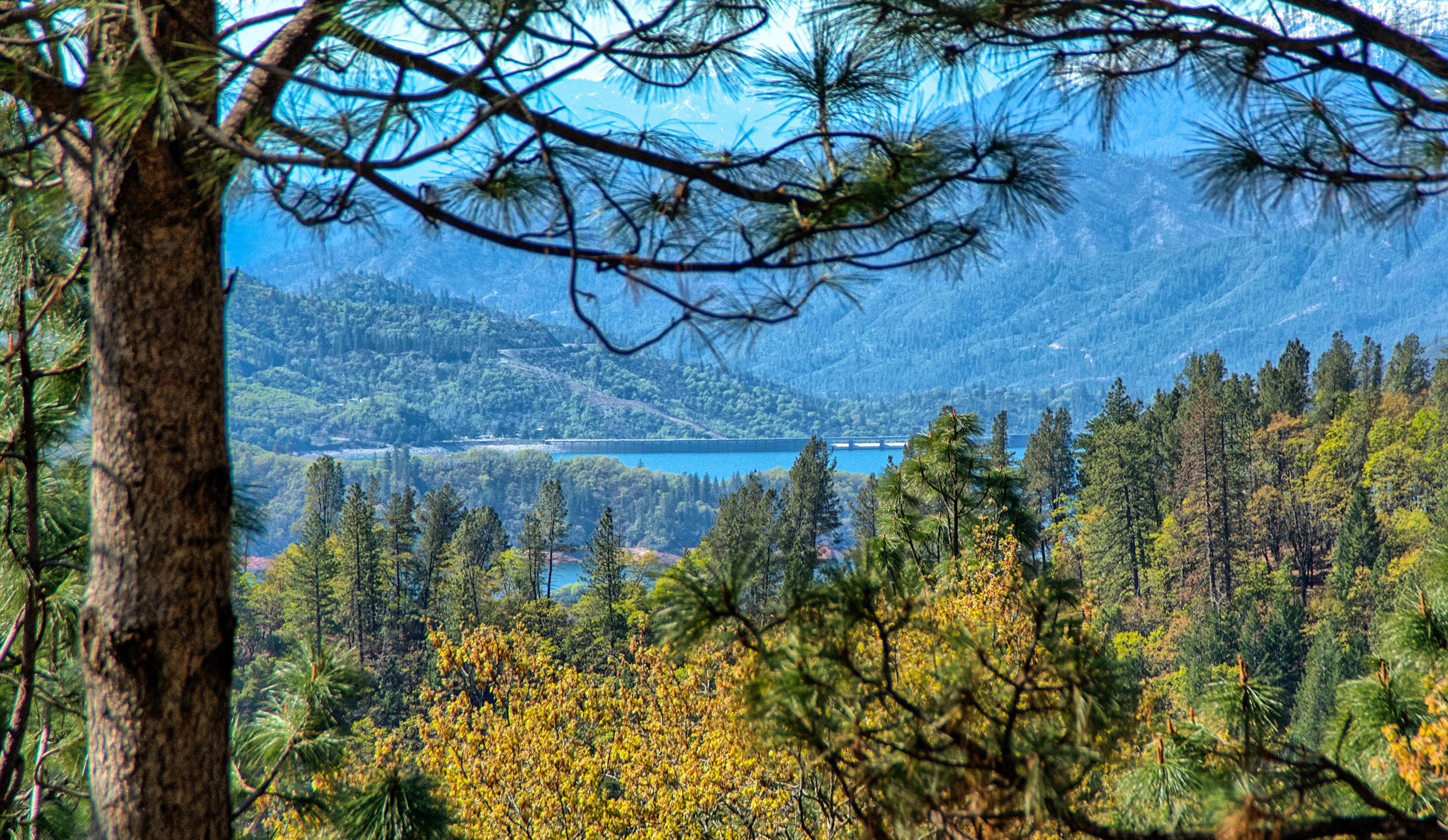 19370 Mountain Maple Road Lakehead, CA 96051 - Photo 40 of 48 Gorgeous Vistas ~ "Zoomed-In"