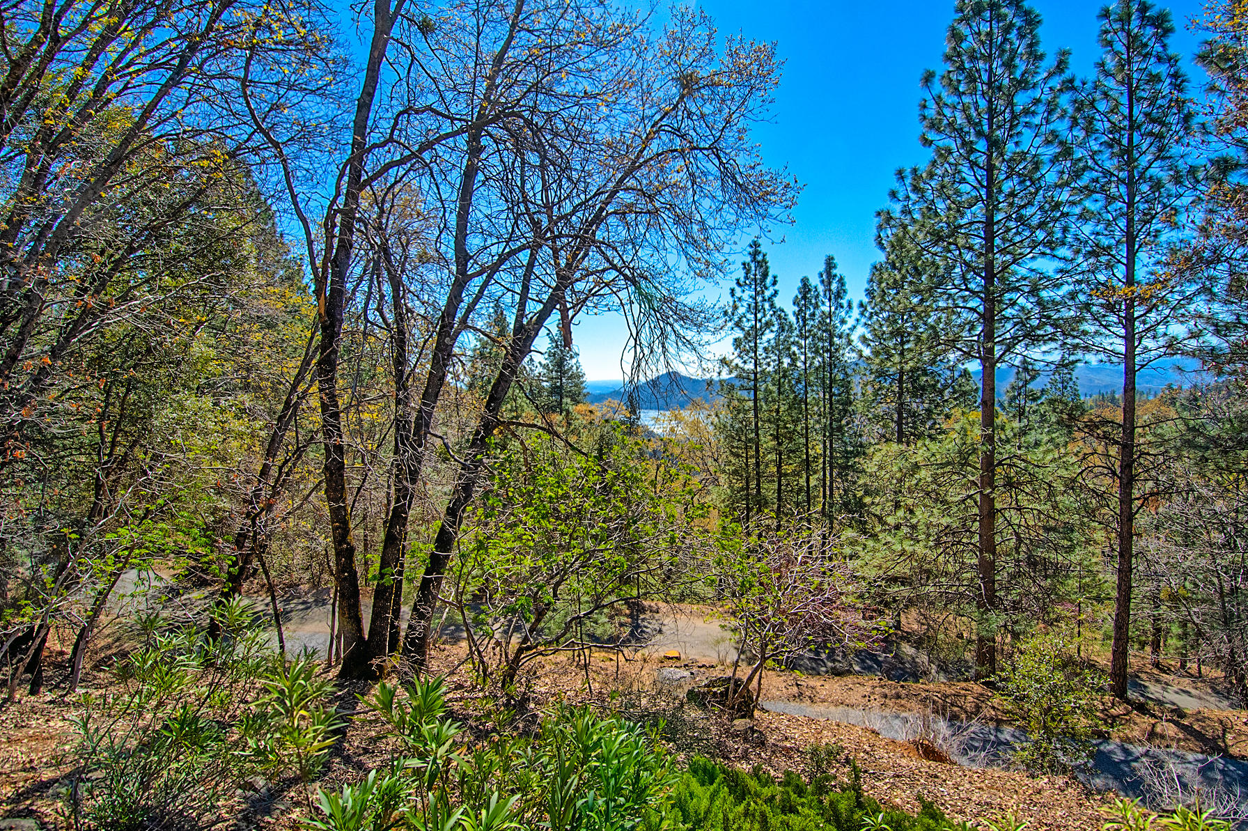 19370 Mountain Maple Road Lakehead, CA 96051 - Photo 41 of 48 Vistas ~ View 2