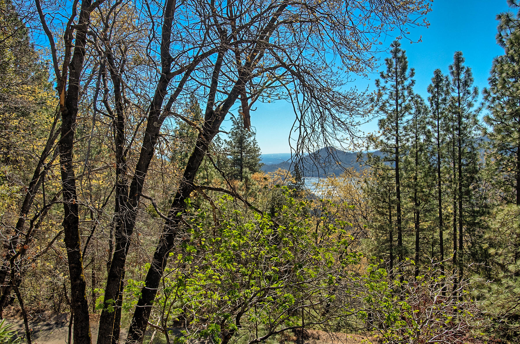 19370 Mountain Maple Road Lakehead, CA 96051 - Photo 42 of 48 View Towards Redding ~ "Zoomed In"