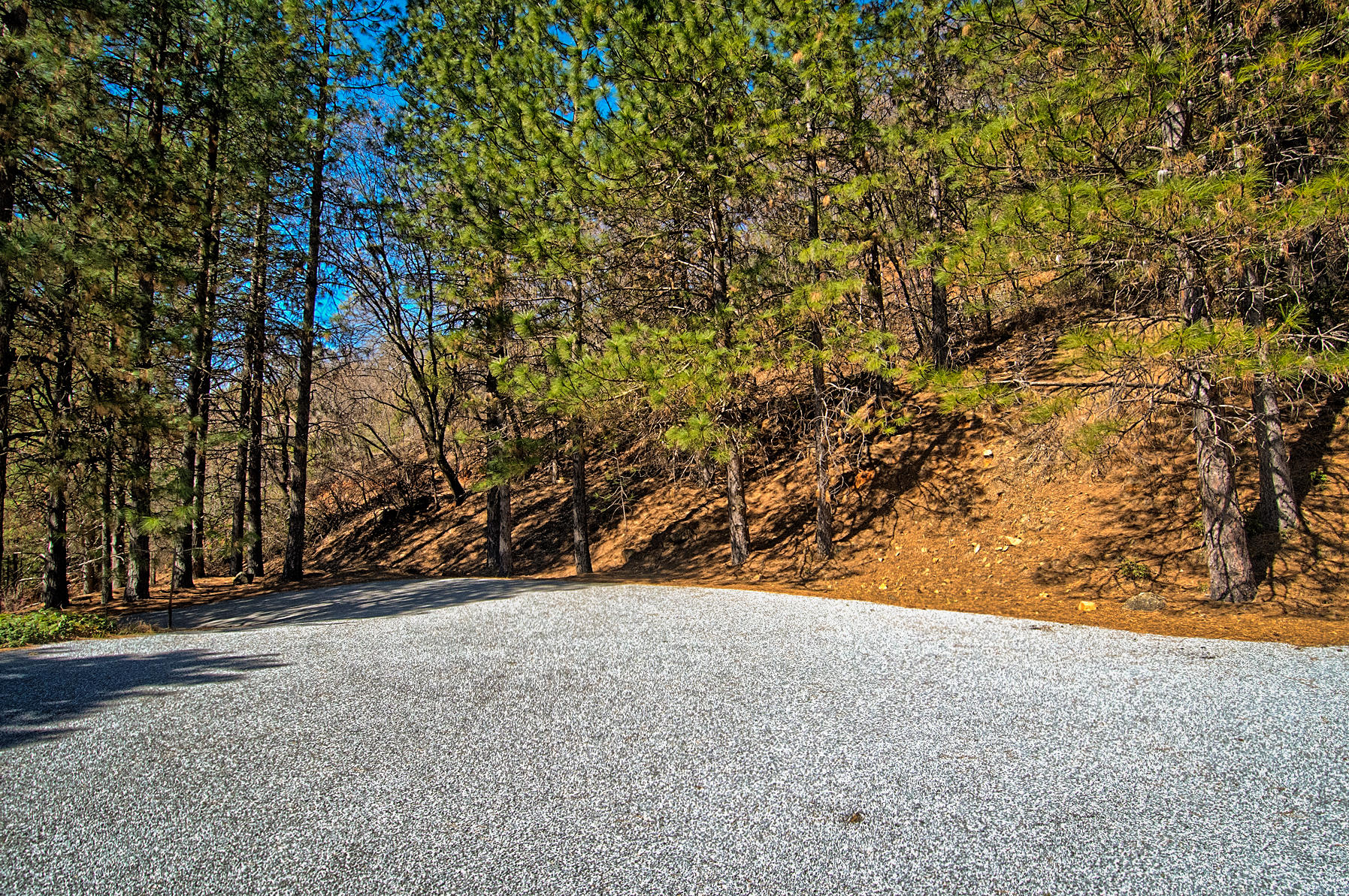 19370 Mountain Maple Road Lakehead, CA 96051 - Photo 44 of 48 Top Of Driveway