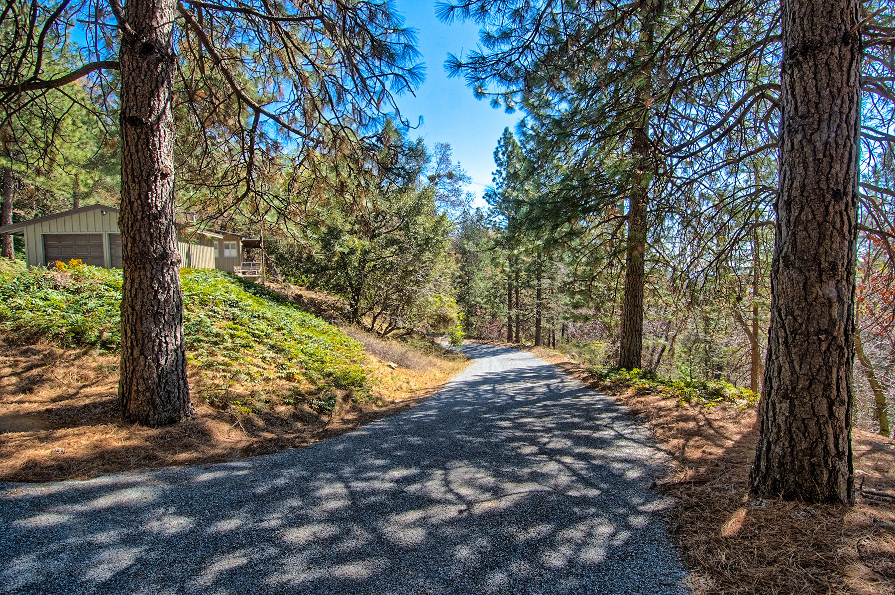 19370 Mountain Maple Road Lakehead, CA 96051 - Photo 45 of 48 Driveway Exit View