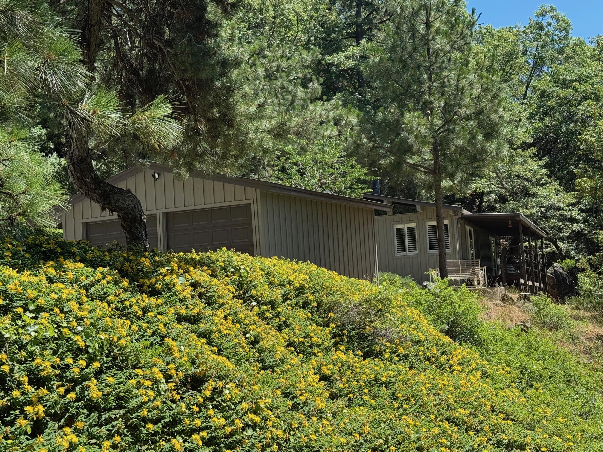 19370 Mountain Maple Road Lakehead, CA 96051 - Photo 8 of 48 _The Cabin_ In Full Bloom!