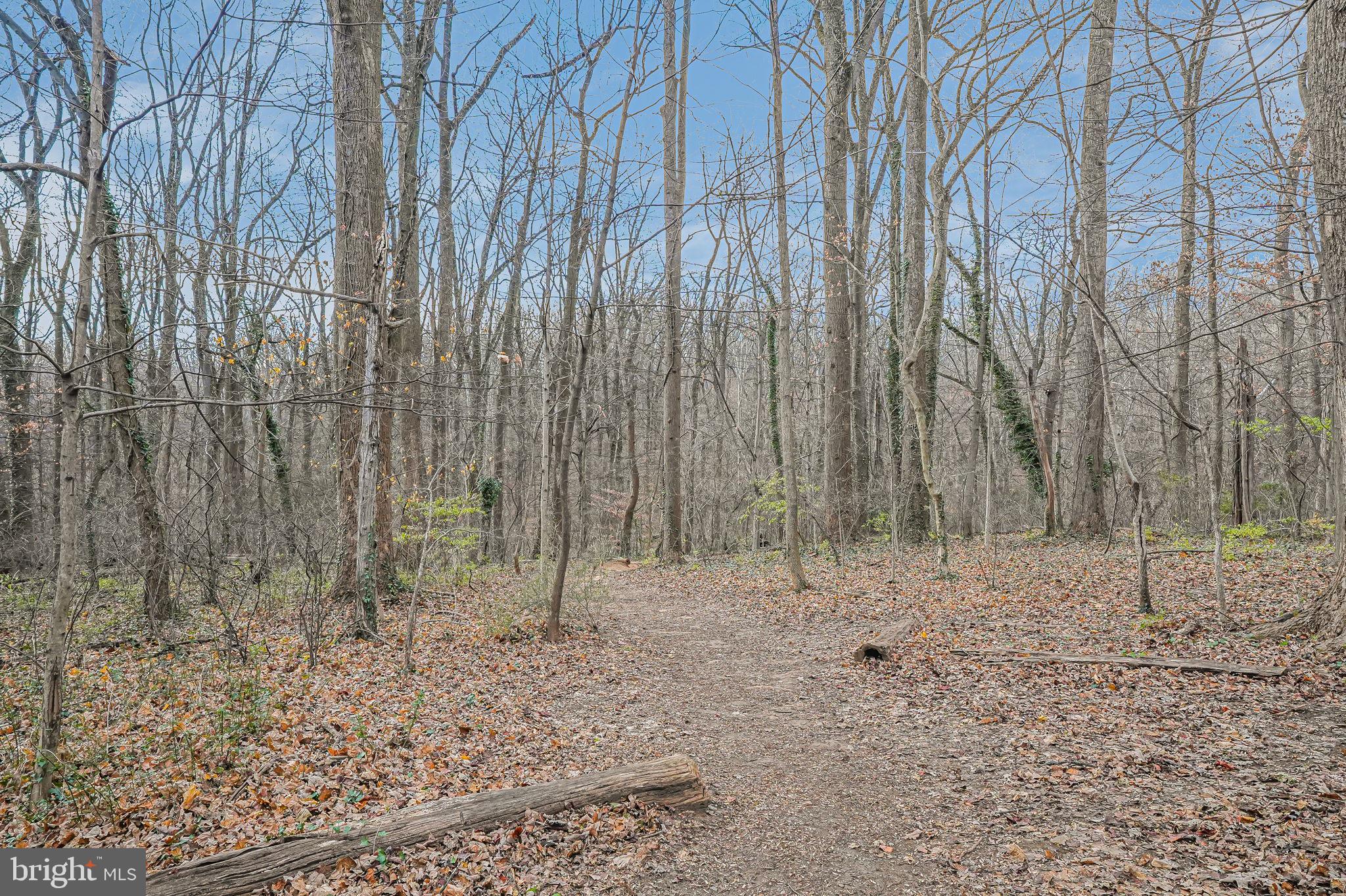 4000 Tunlaw Road Northwest, Unit 811 Washington, DC 20007 - Photo 44 of 51 a view of a backyard with trees