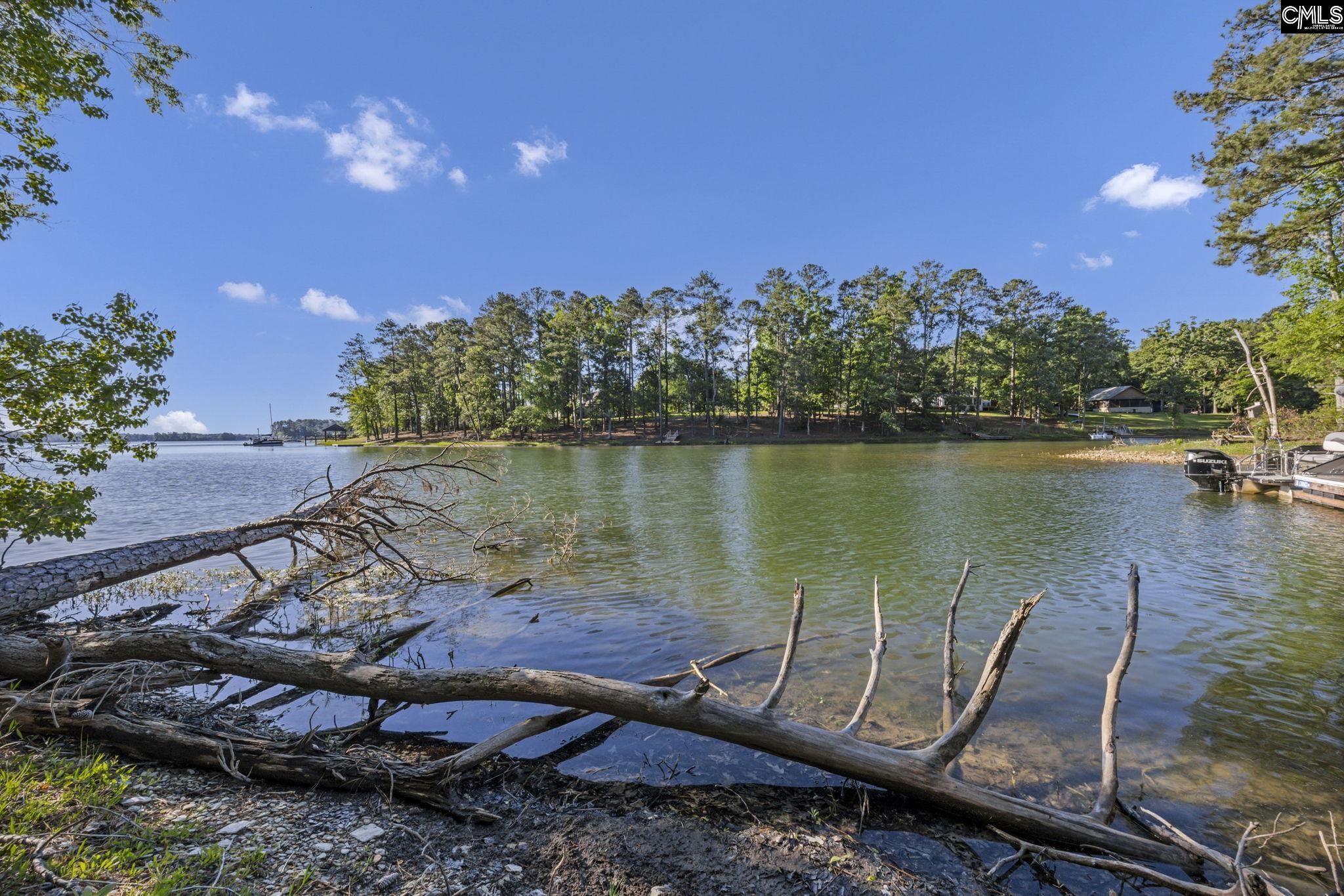 0 Lominack Road Prosperity, SC 29127 - Photo 4 of 19