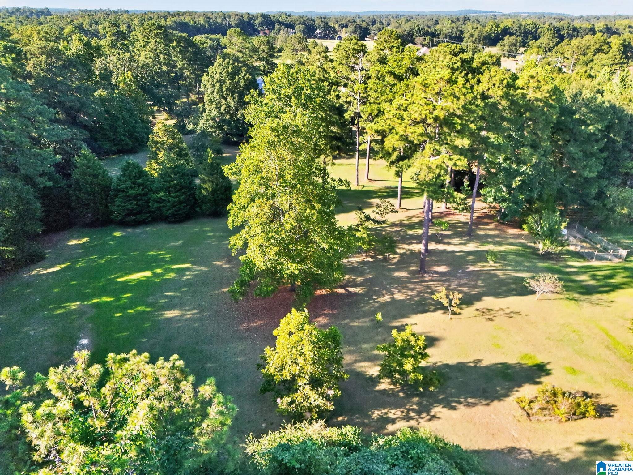 501 Pineview Road Clanton, AL 35045 - Photo 55 of 58 Gallery Image 55