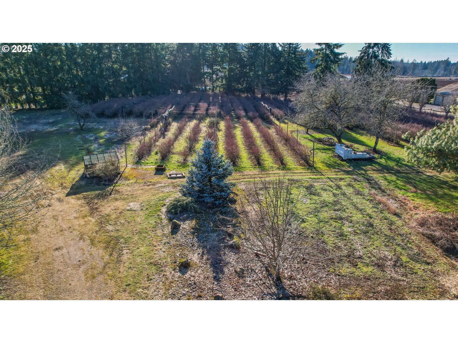 13651 Southeast Orient Drive Boring, OR 97009 - Photo 28 of 47