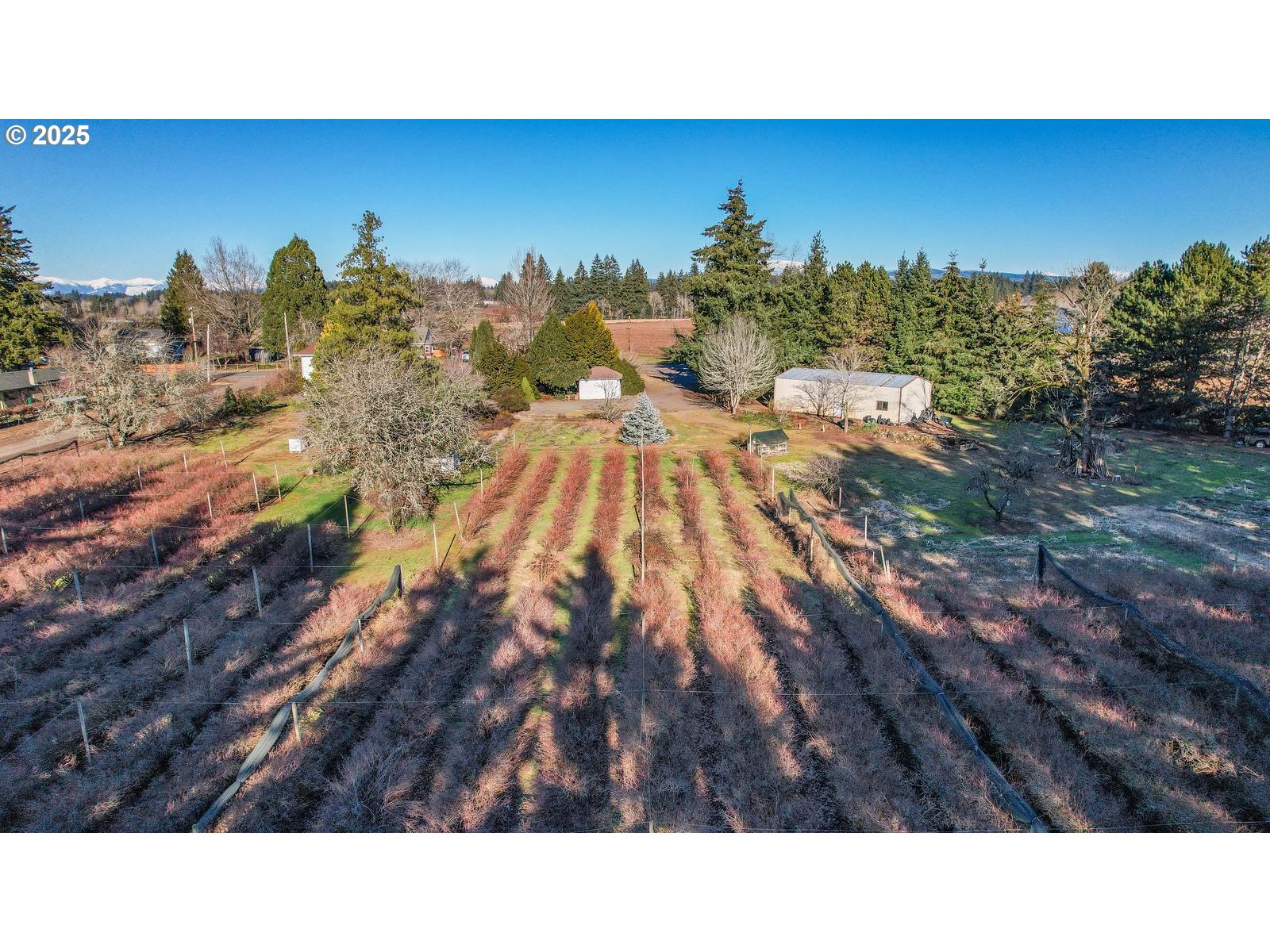 13651 Southeast Orient Drive Boring, OR 97009 - Photo 29 of 47