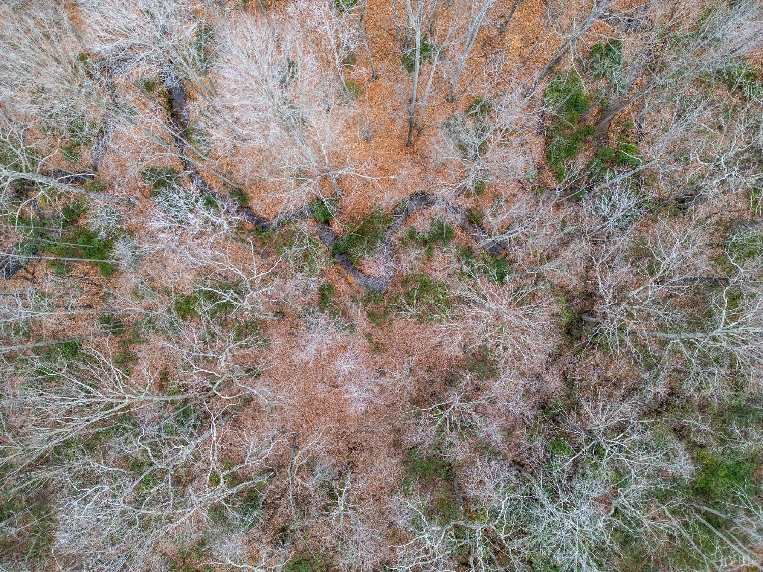 0 Spencer Road Appomattox, VA 24522 - Photo 15 of 15