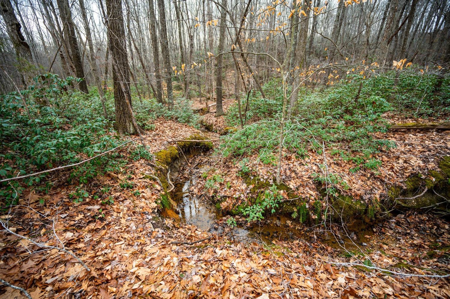 0 Spencer Road Appomattox, VA 24522 - Photo 8 of 15