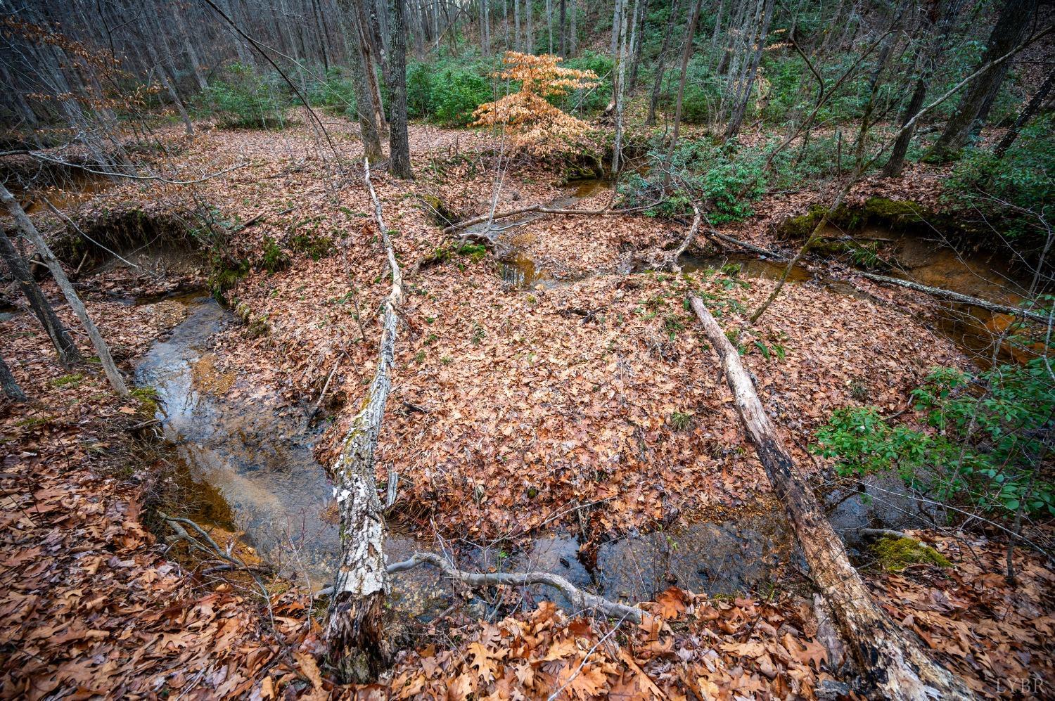 0 Spencer Road Appomattox, VA 24522 - Photo 9 of 15