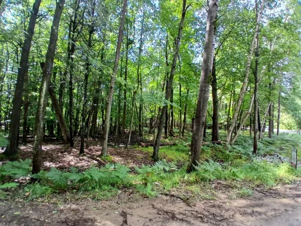 $24,500 | Ridge Road, Mears, MI 49436