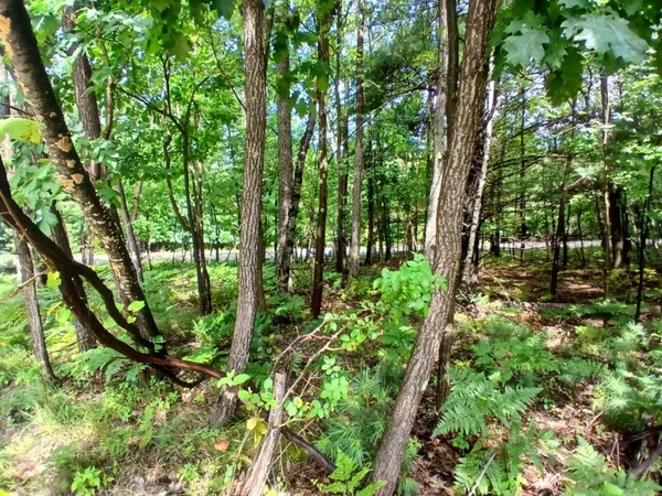 $24,500 | Ridge Road, Mears, MI 49436