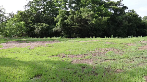 a view of outdoor space with trees all around