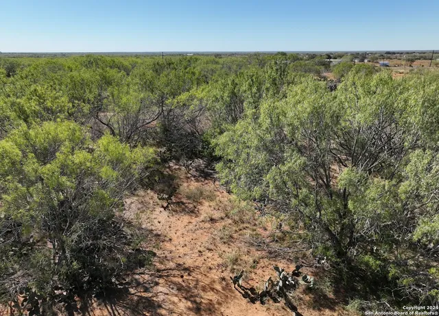 $260,000 | 119 Hidden Lane, Jourdanton, TX 78026