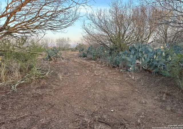 $260,000 | 119 Hidden Lane, Jourdanton, TX 78026