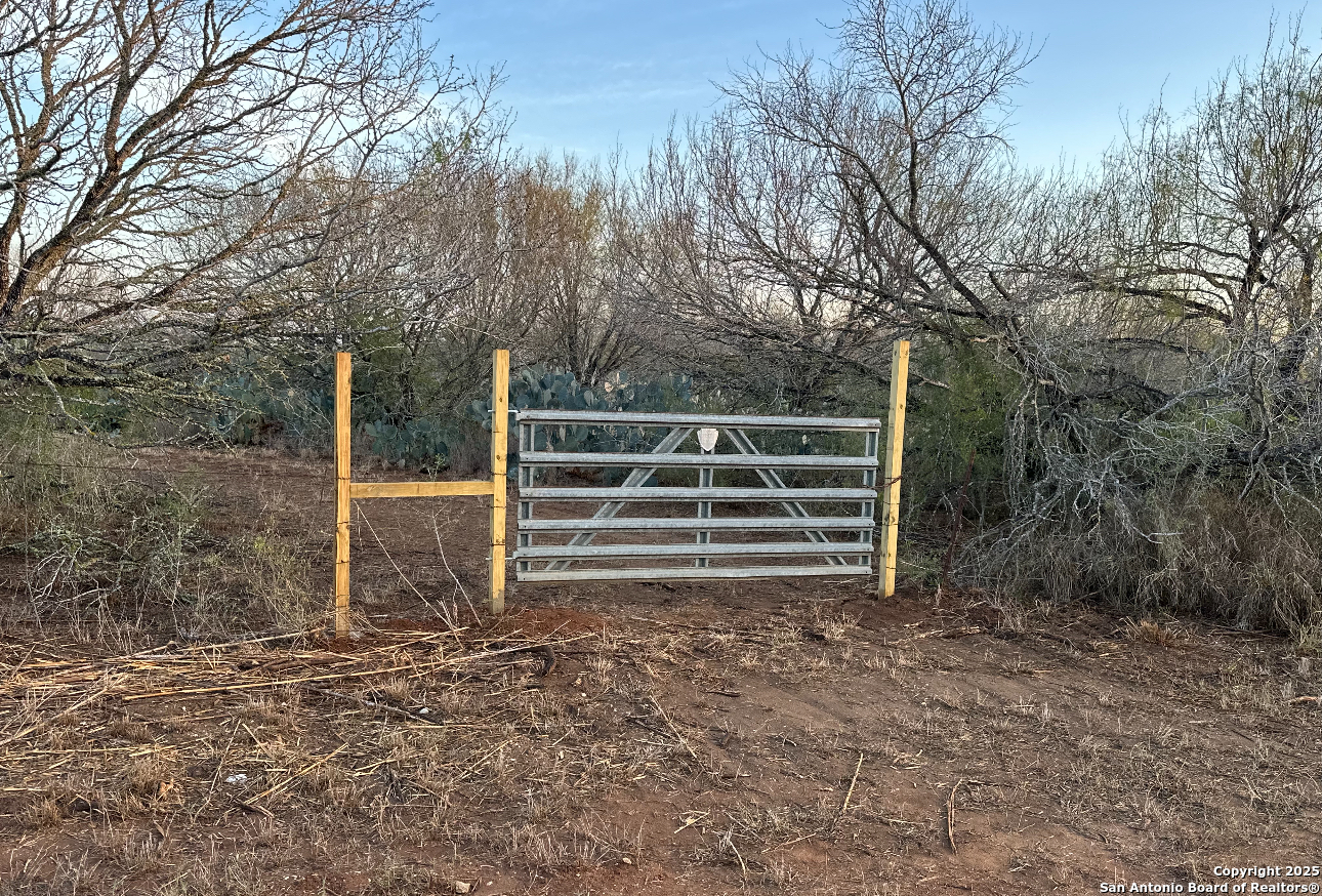 119 Hidden Lane Jourdanton, TX 78026 - Photo 20 of 22