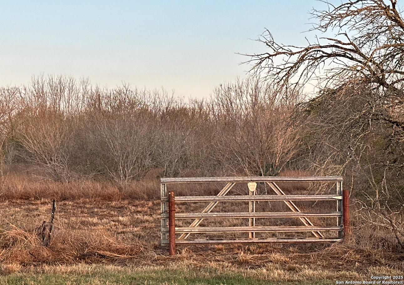119 Hidden Lane Jourdanton, TX 78026 - Photo 22 of 22