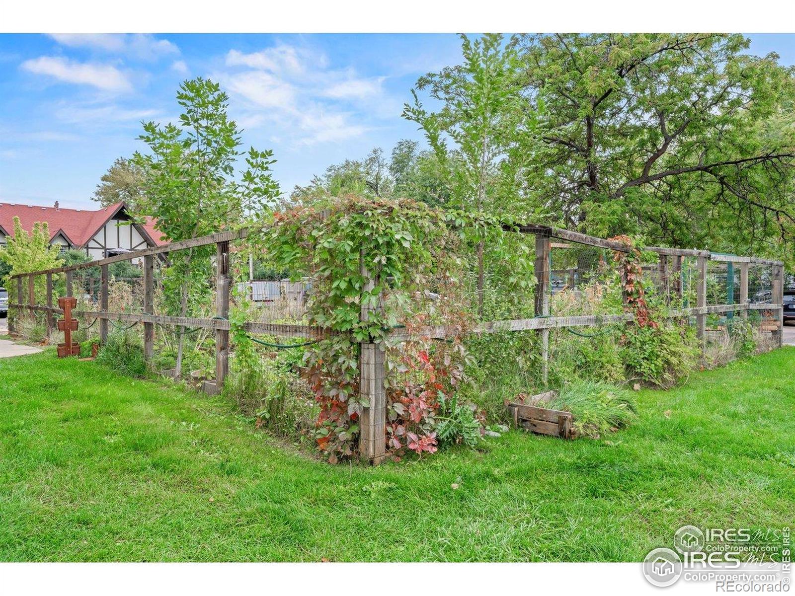 3035 Oneal Parkway, Unit T11 Boulder, CO 80301 - Photo 18 of 28 a view of a backyard with plants and a large tree