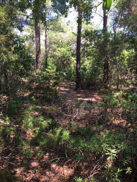 2728 Gable Lake Road Navarre, FL 32566 - Photo 8 of 12 Gallery Image 8