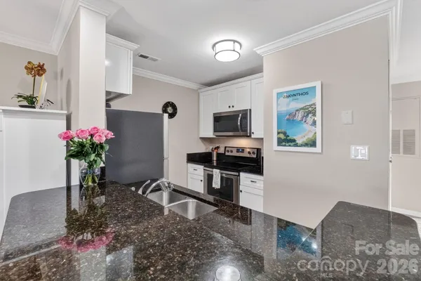 a kitchen with stainless steel appliances kitchen island granite countertop cabinets and potted plant
