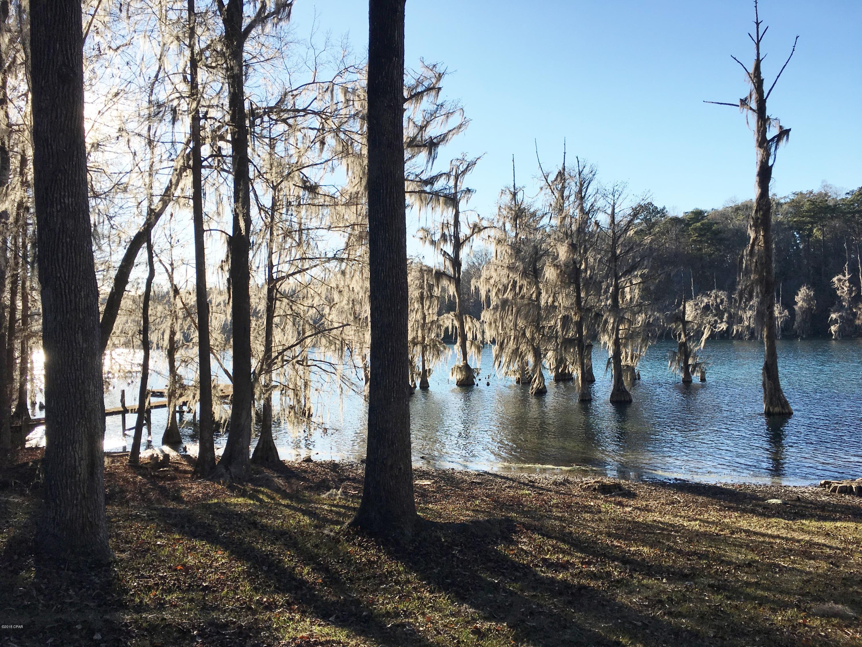 2797 Jackson Bluff Road Marianna, FL 32446 - Photo 45 of 46 Gallery Image 45