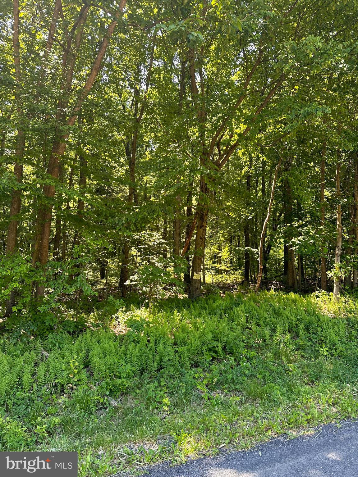 0 Kline Hollow Road Liverpool, PA 17045 - Photo 1 of 7 Gallery Image 1