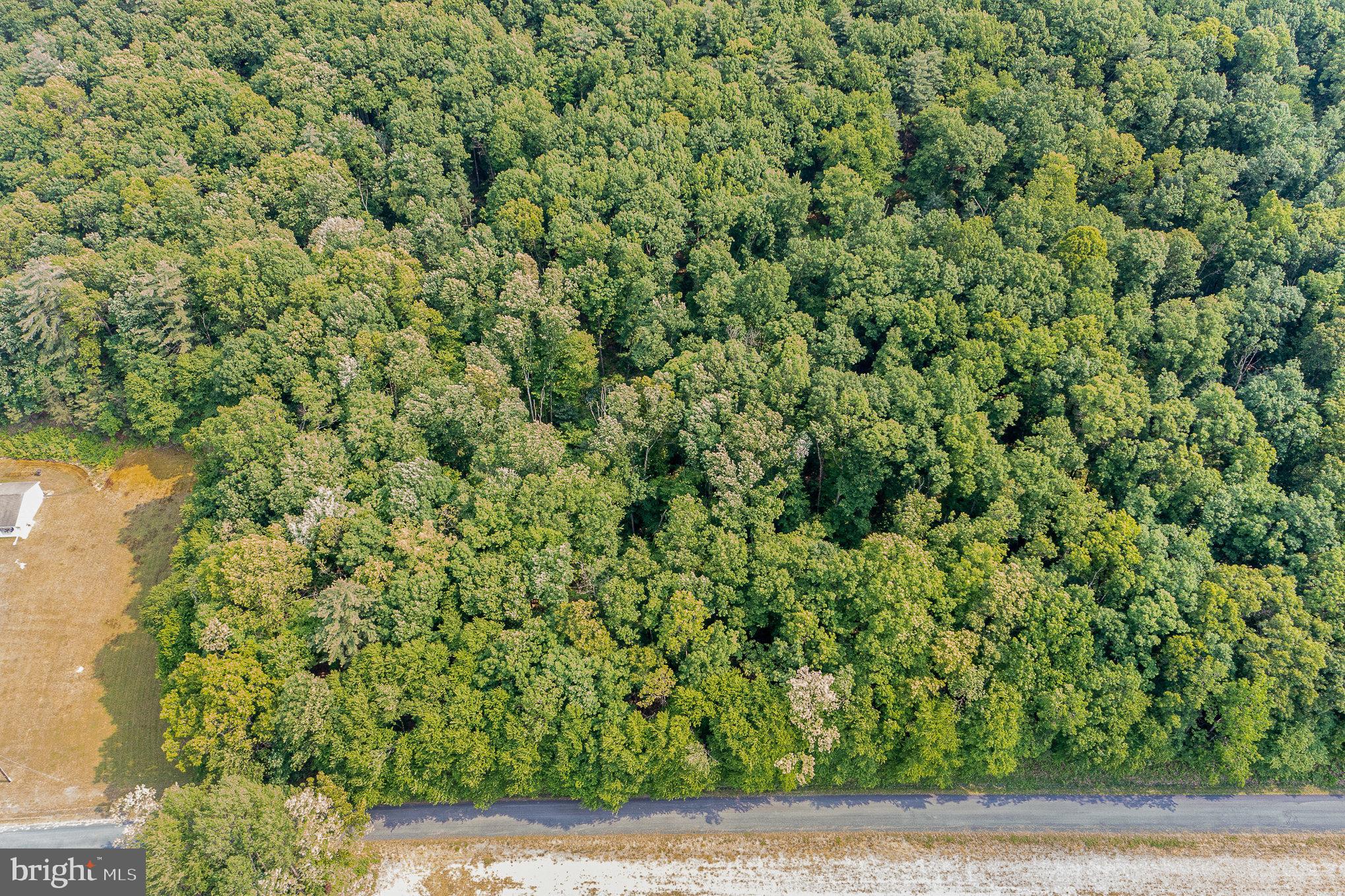 0 Kline Hollow Road Liverpool, PA 17045 - Photo 4 of 7 Gallery Image 4