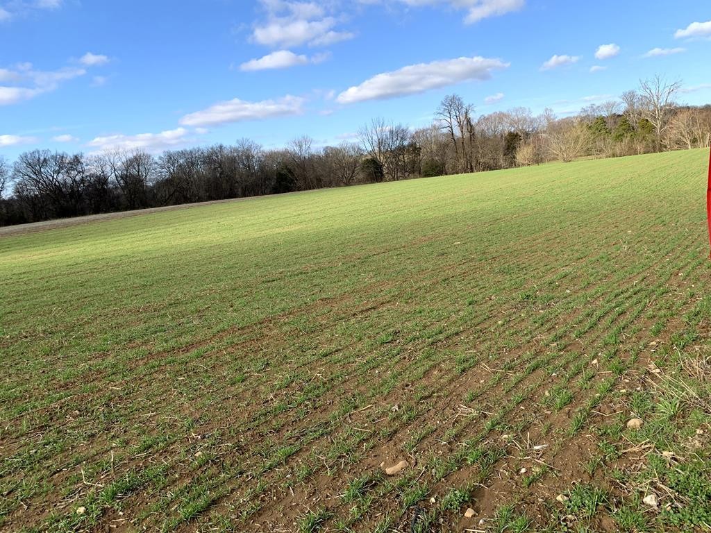 1704 Corby Bridge Road Chuckey, TN 37641 - Photo 1 of 43 a view of a field with an ocean