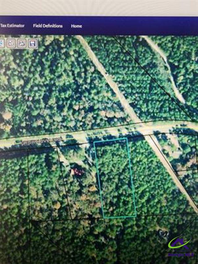0 Griswoldville Road Macon, GA 31217 - Photo 2 of 2