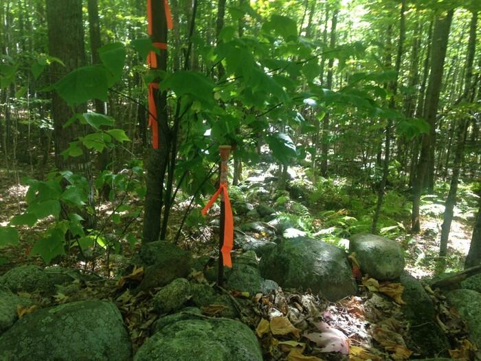 9 Sharons Way Weld, ME 04285 - Photo 8 of 10 IMG_2108-28-2
