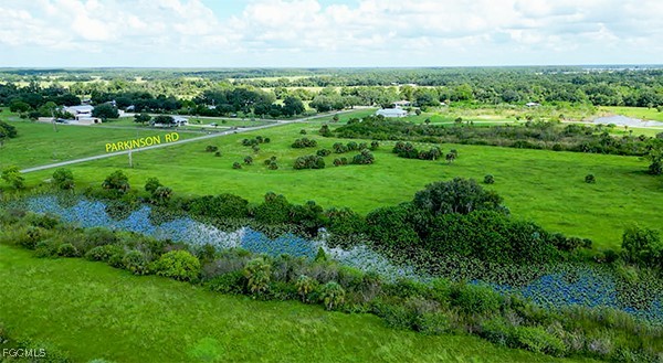 18030 Parkinson Road Alva, FL 33920 - Photo 4 of 8 a view of a green field with lots of green space