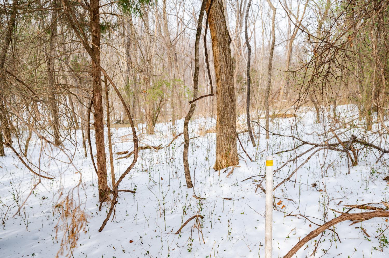 0 Stage Road Concord, VA 24504 - Photo 16 of 19