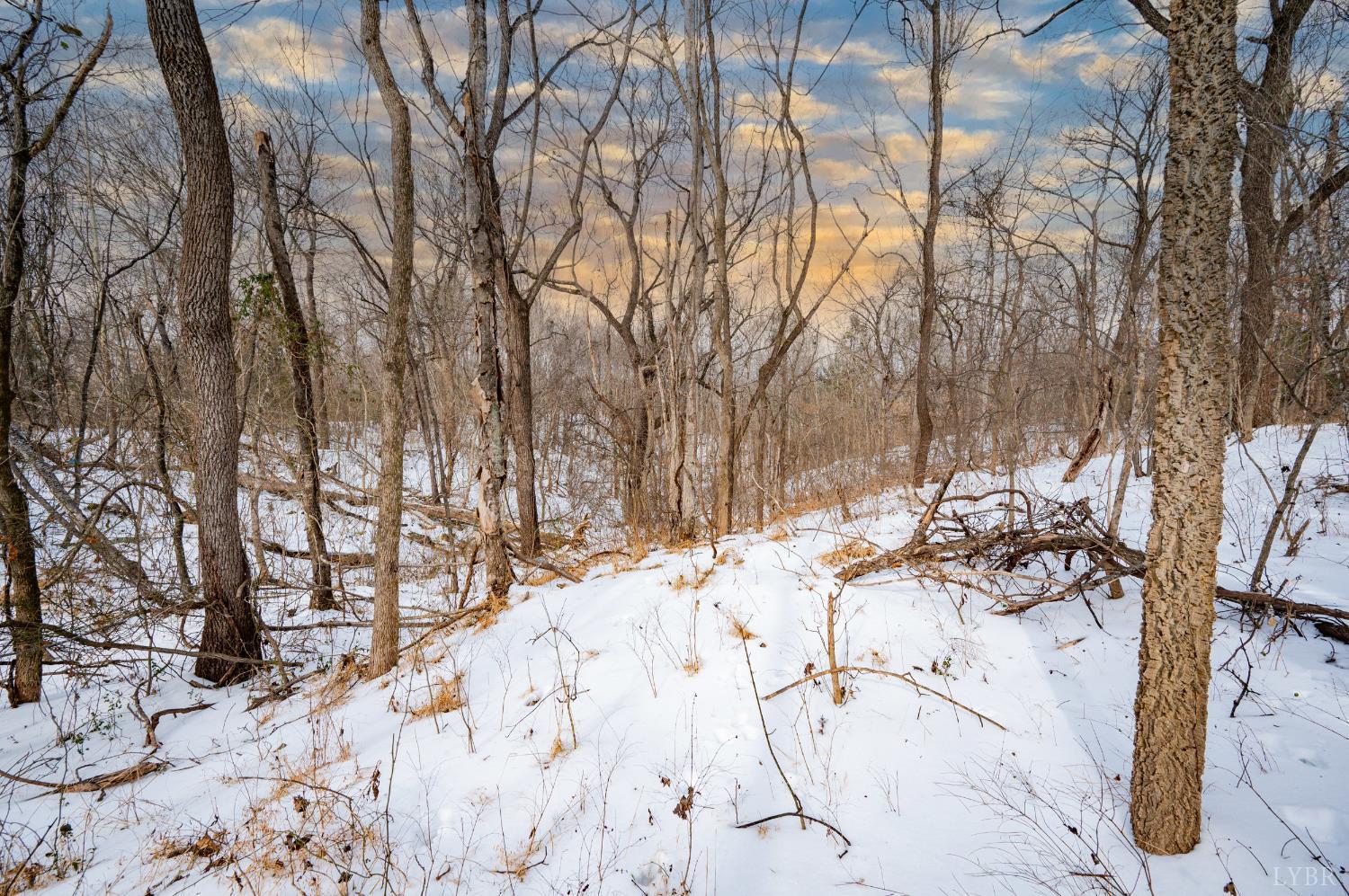 0 Stage Road Concord, VA 24504 - Photo 18 of 19