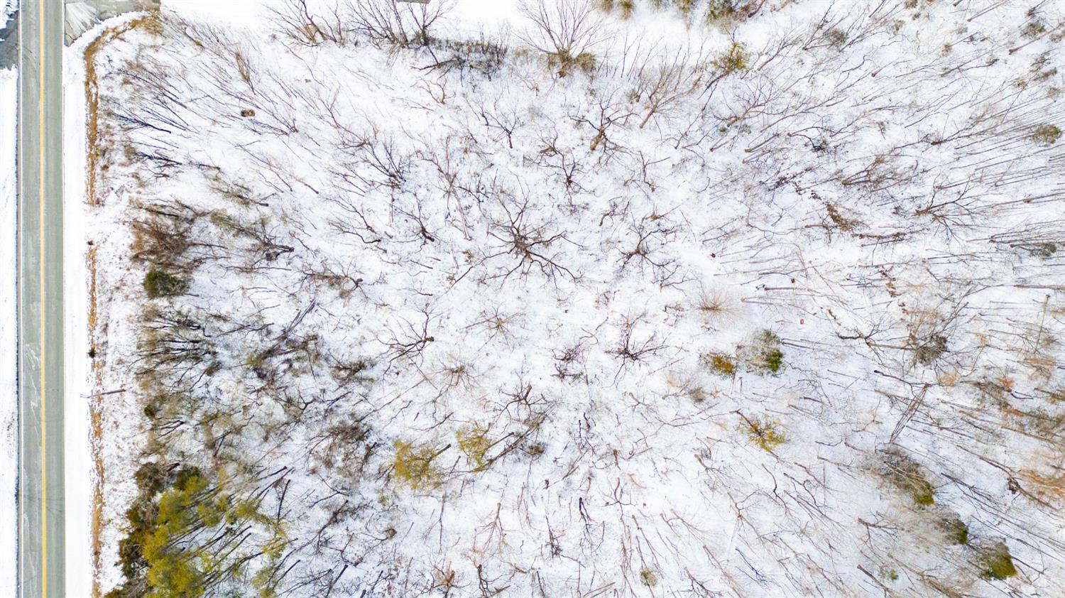 0 Stage Road Concord, VA 24504 - Photo 6 of 19