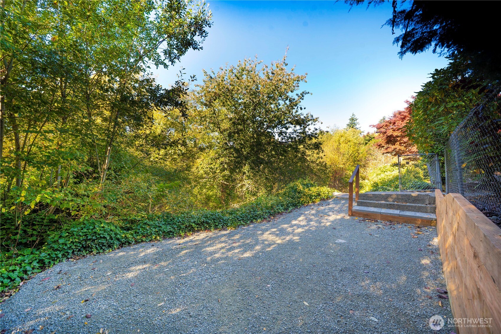 29419 4th Avenue South Federal Way, WA 98003 - Photo 38 of 38 a view of a yard with plants and trees