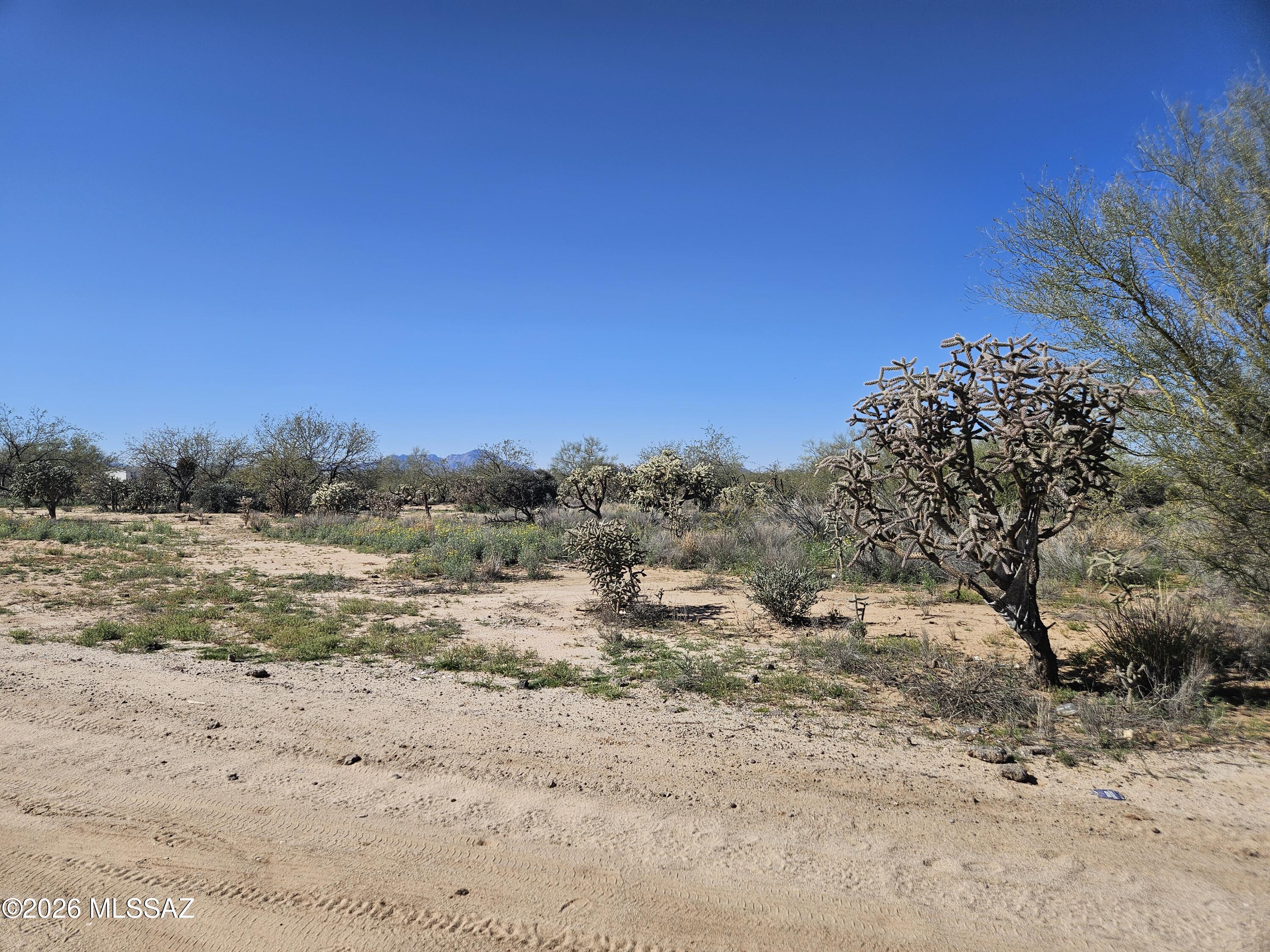 8798 South Marstellar Road Tucson, AZ 85736 - Photo 1 of 5 20260131_114720