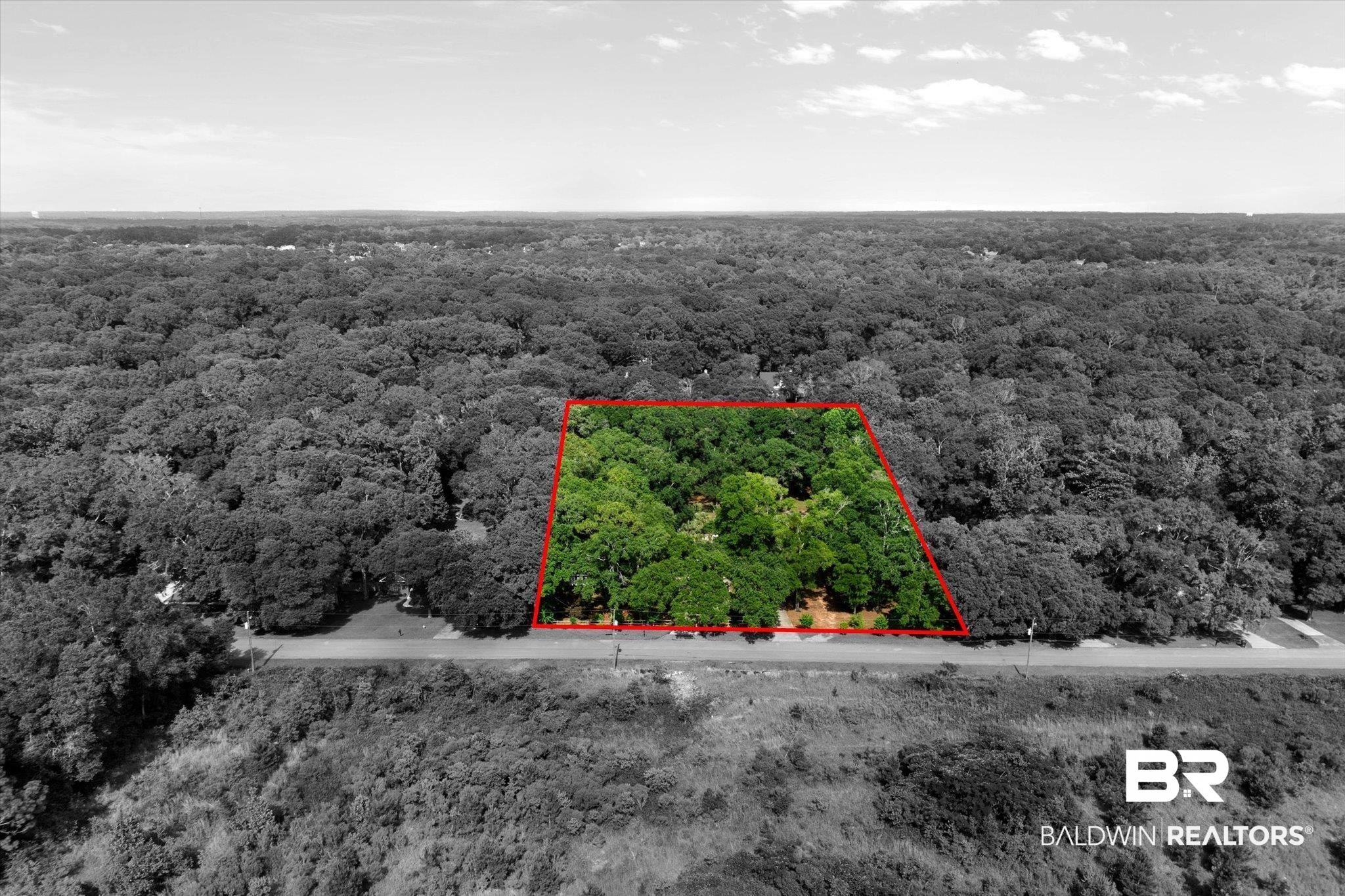 3715 Latigo Road Mobile, AL 36695 - Photo 38 of 39 Drone / aerial view of a forest