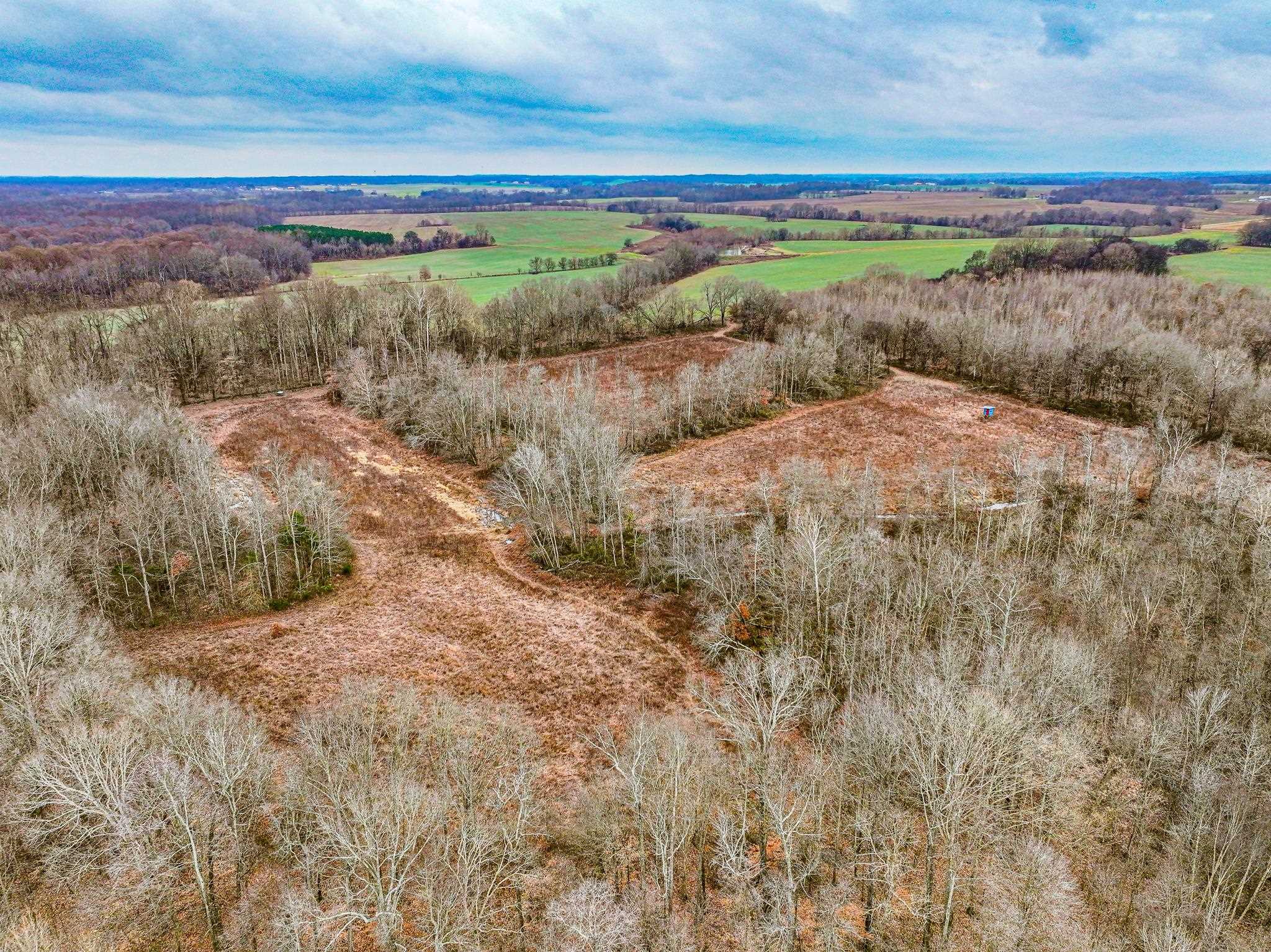 0 Puryear Road Cottage Grove, TN 38224 - Photo 28 of 40 Overview of rural landscape