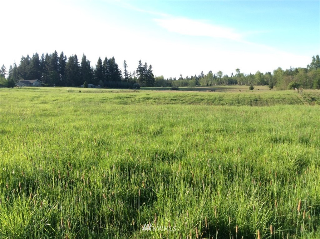 3 Smith Road Centralia, WA 98531 - Photo 1 of 12