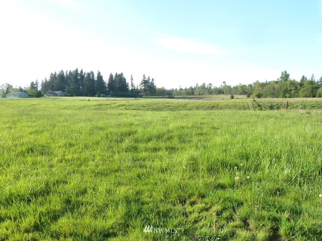 3 Smith Road Centralia, WA 98531 - Photo 7 of 12