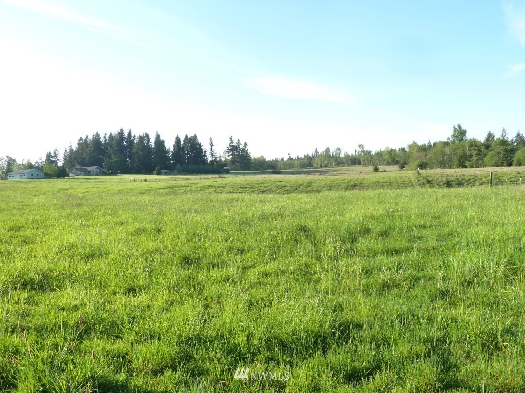 3 Smith Road Centralia, WA 98531 - Photo 8 of 12