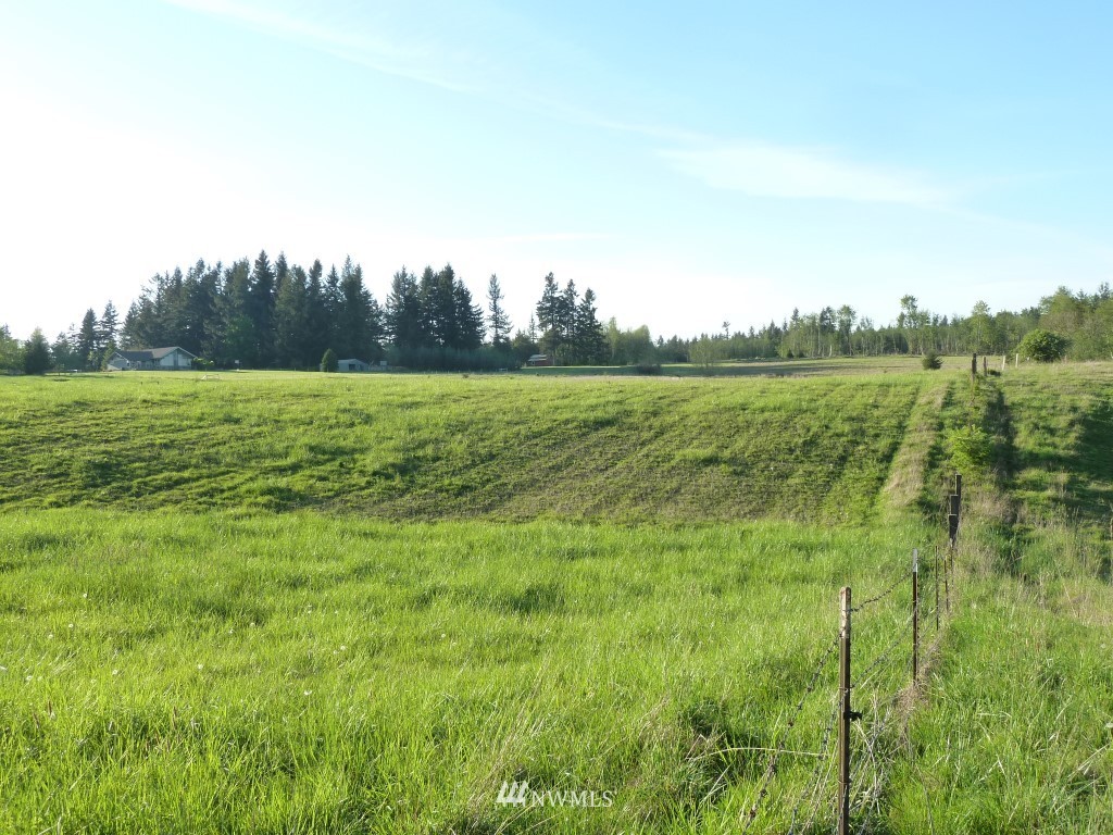 3 Smith Road Centralia, WA 98531 - Photo 9 of 12