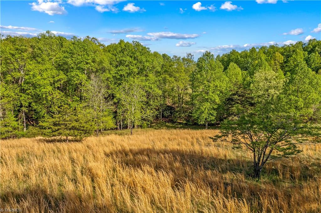 360 Orchard Road Moravian Falls, NC 28654 - Photo 48 of 50